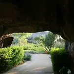 En Magnifico - Parque Botanico *