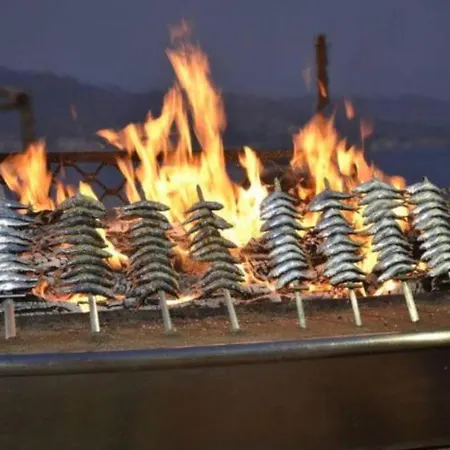 아파트 En Magnifico - Parque Botanico *